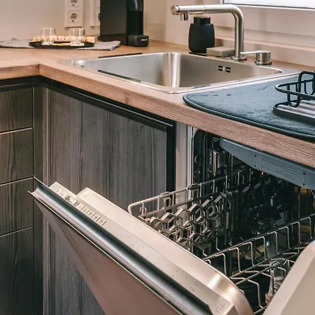 Zajos Noisy Vincent Balatonfured