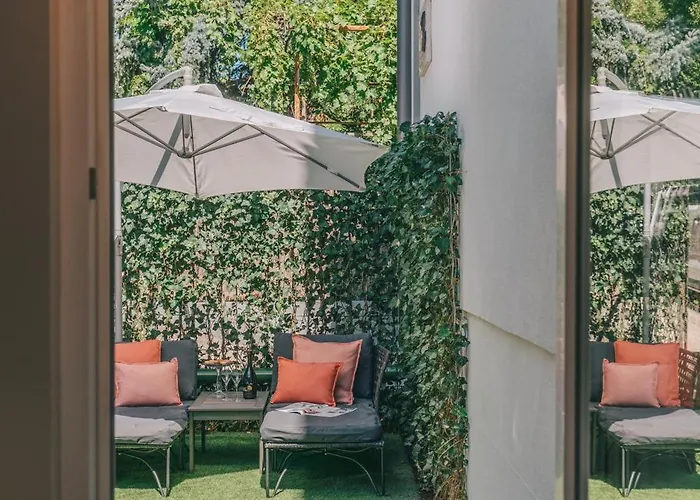 Zajos Noisy Vincent * Balatonfured