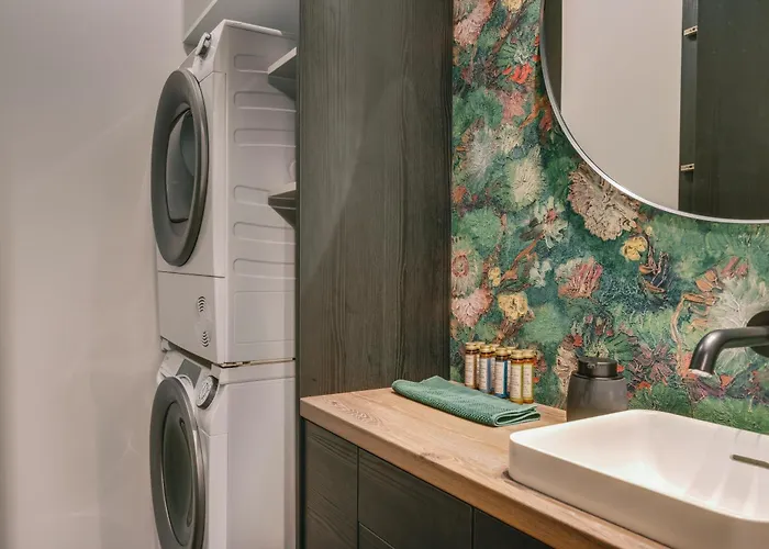 Zajos Noisy Vincent Balatonfured