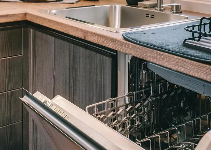 Zajos Noisy Vincent バラトンフレド