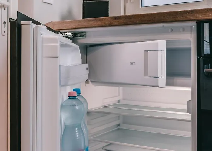 Zajos Noisy Vincent Apartment *